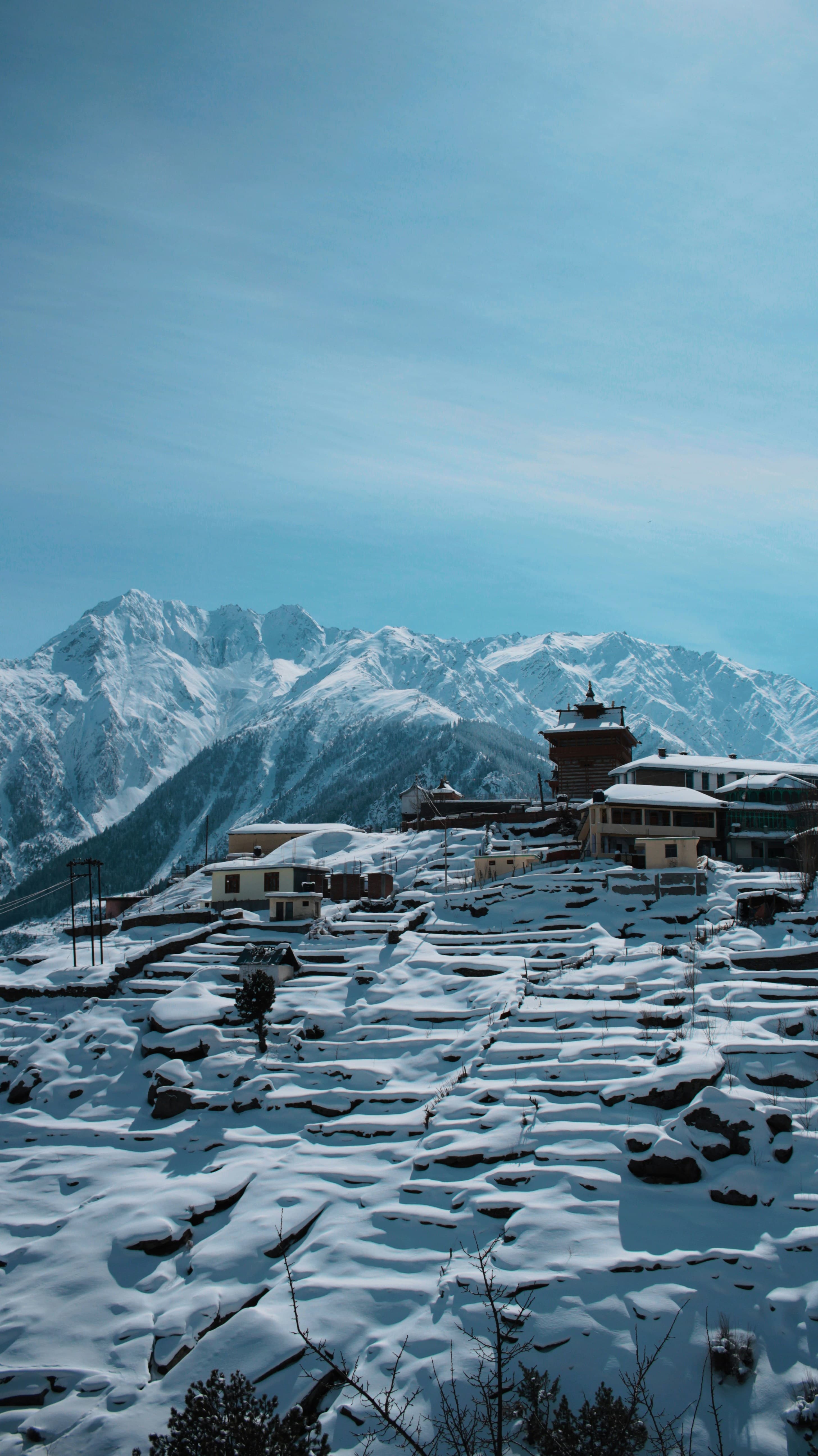 Kalpa → Shimla → Delhi
